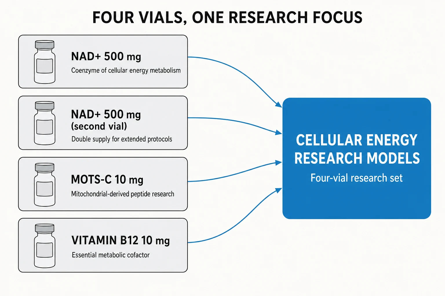 Mitofuel Bundle four-vial cellular energy research diagram