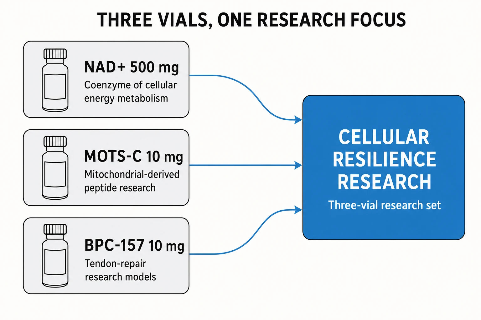 Resilience Bundle three-vial cellular resilience research diagram