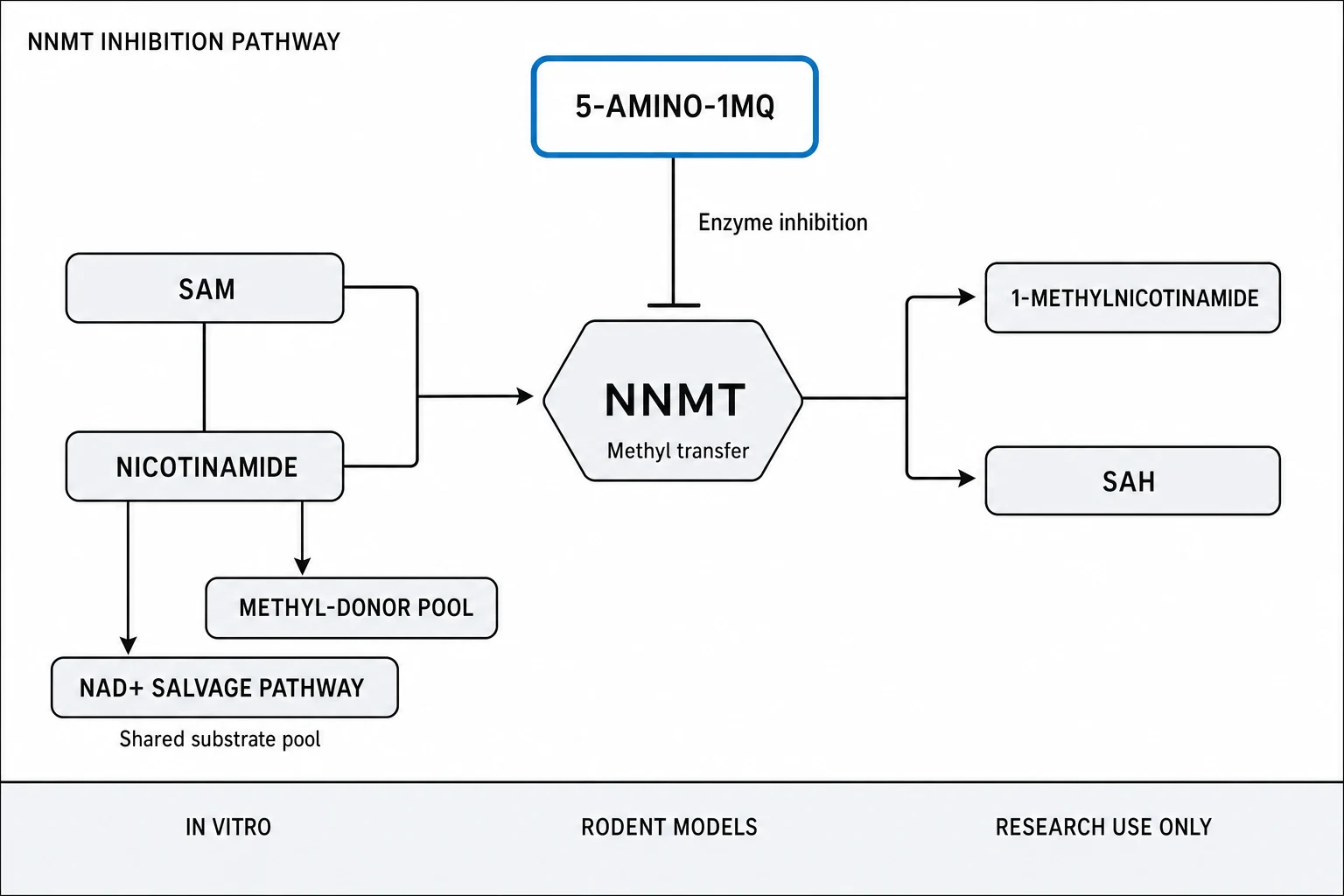 Research mechanism diagram