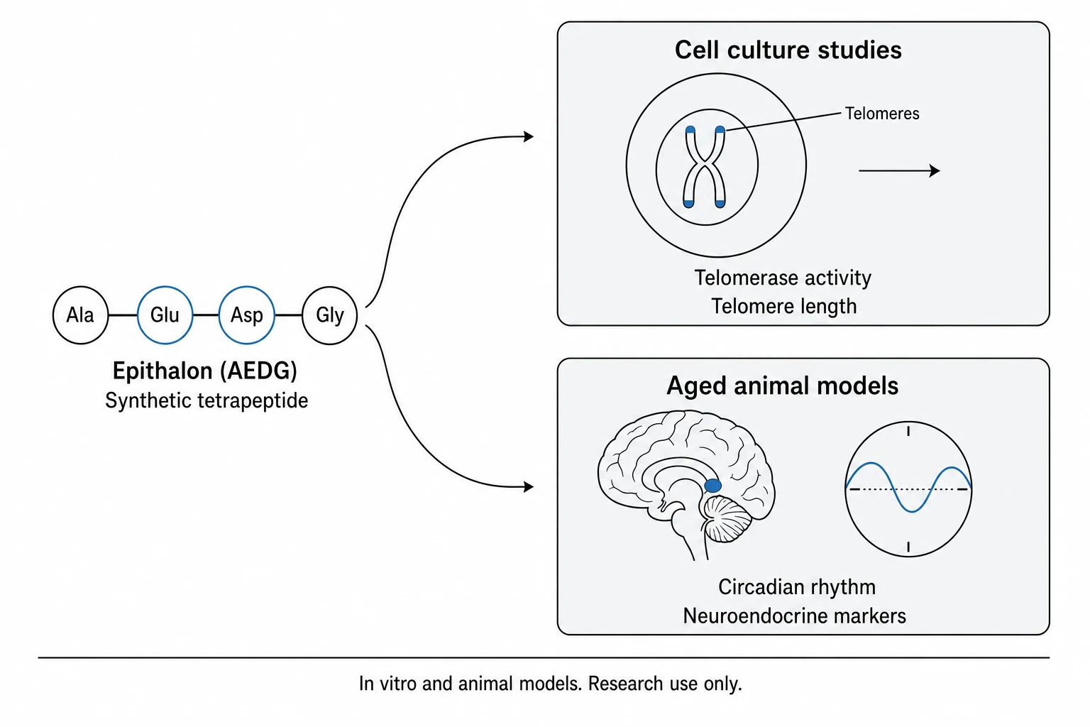 Research mechanism diagram