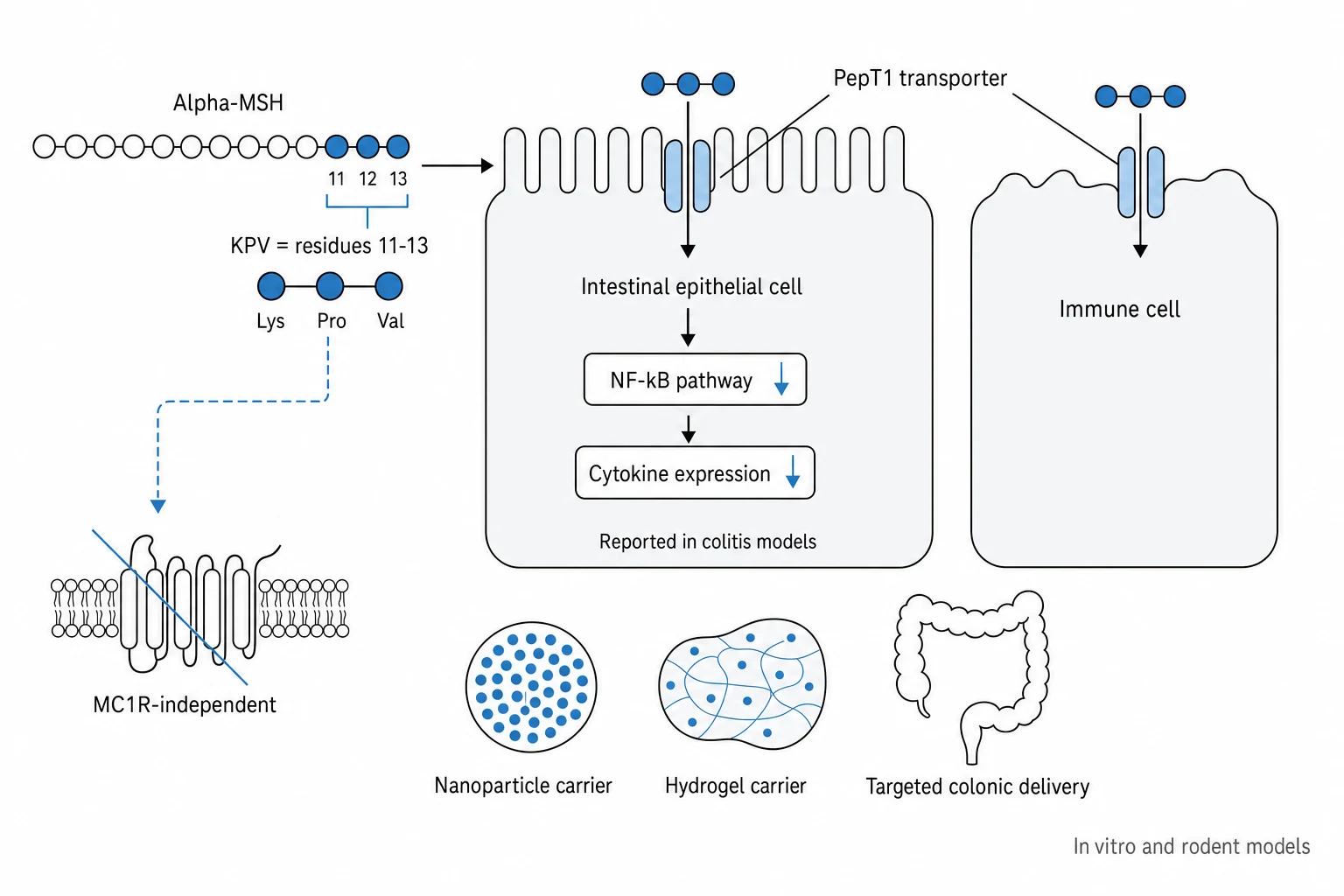 Research mechanism diagram