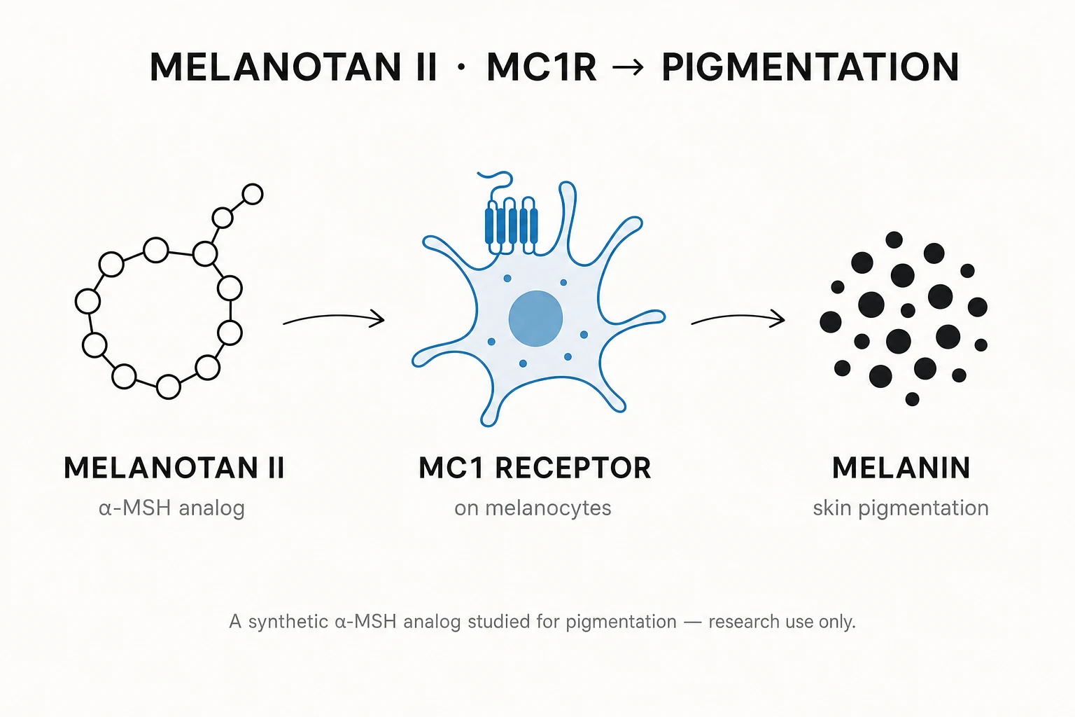 Research mechanism diagram