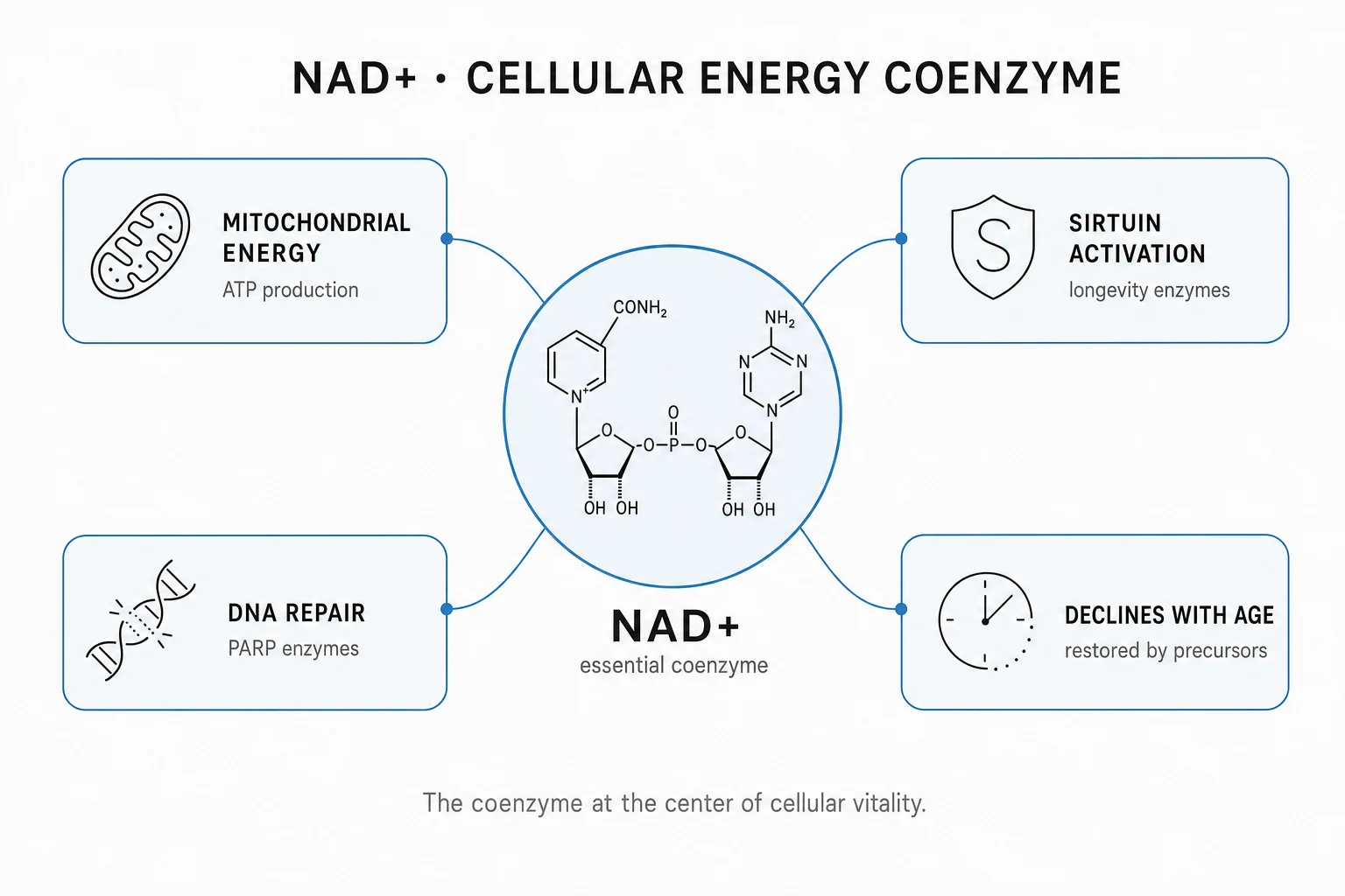Research mechanism diagram