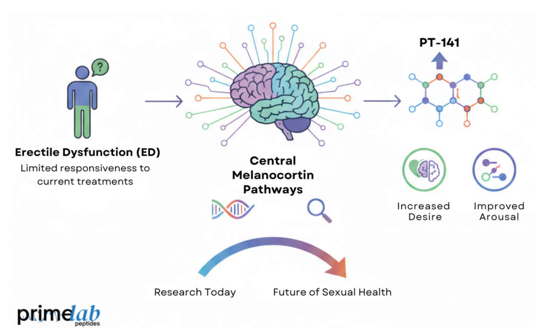Illustration showing PT-141 research pathway linking ED challenges to central melanocortin mechanisms.