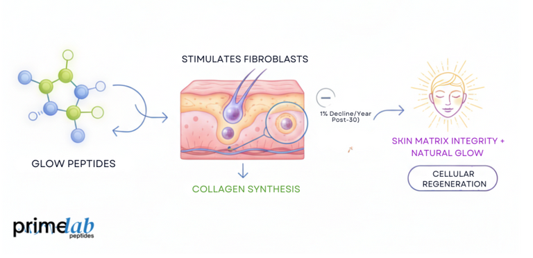 The Science Behind Glow Peptide Boosting Collagen and Restoring Skin's Natural Glow?