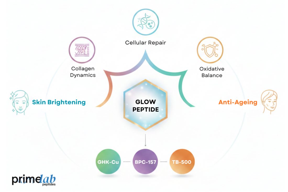  Illustration showing Glow Peptide components and their roles in skin brightening and anti-ageing. 