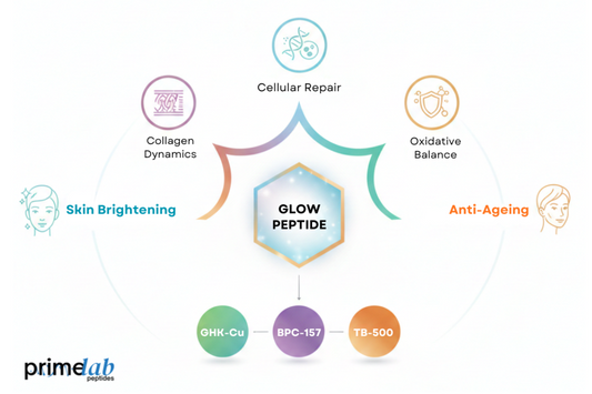  Illustration showing Glow Peptide components and their roles in skin brightening and anti-ageing. 
