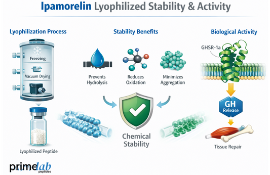 How Does Ipamorelin’s Lyophilized Structure Influence Its Stability And Biological Activity?