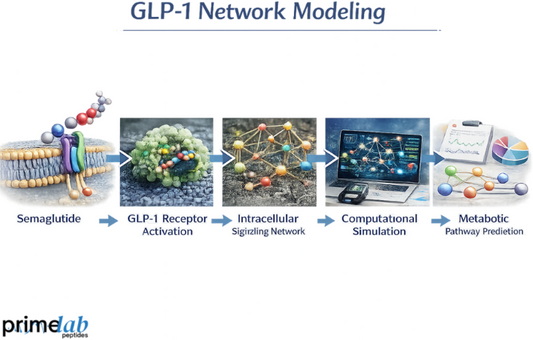 Can Computational Modeling Analyze Semaglutide's Impact on GLP-1 Network In Metabolic Studies?