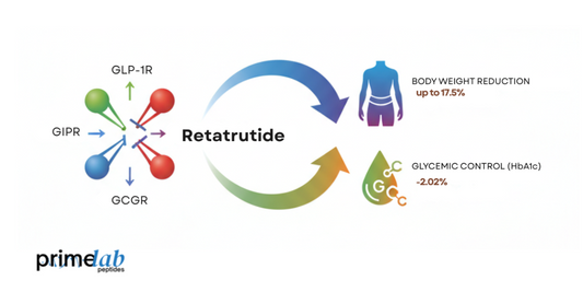 Diagram of Retatrutide's triple agonist action for Type 2 Diabetes, showing its effects.