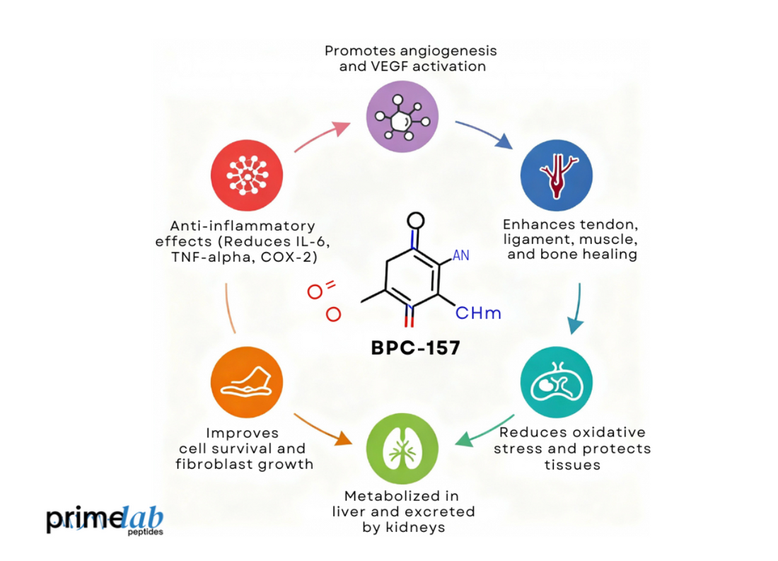 Is BPC-157 the Missing Link in Treating Inflammation and Joint Pain?