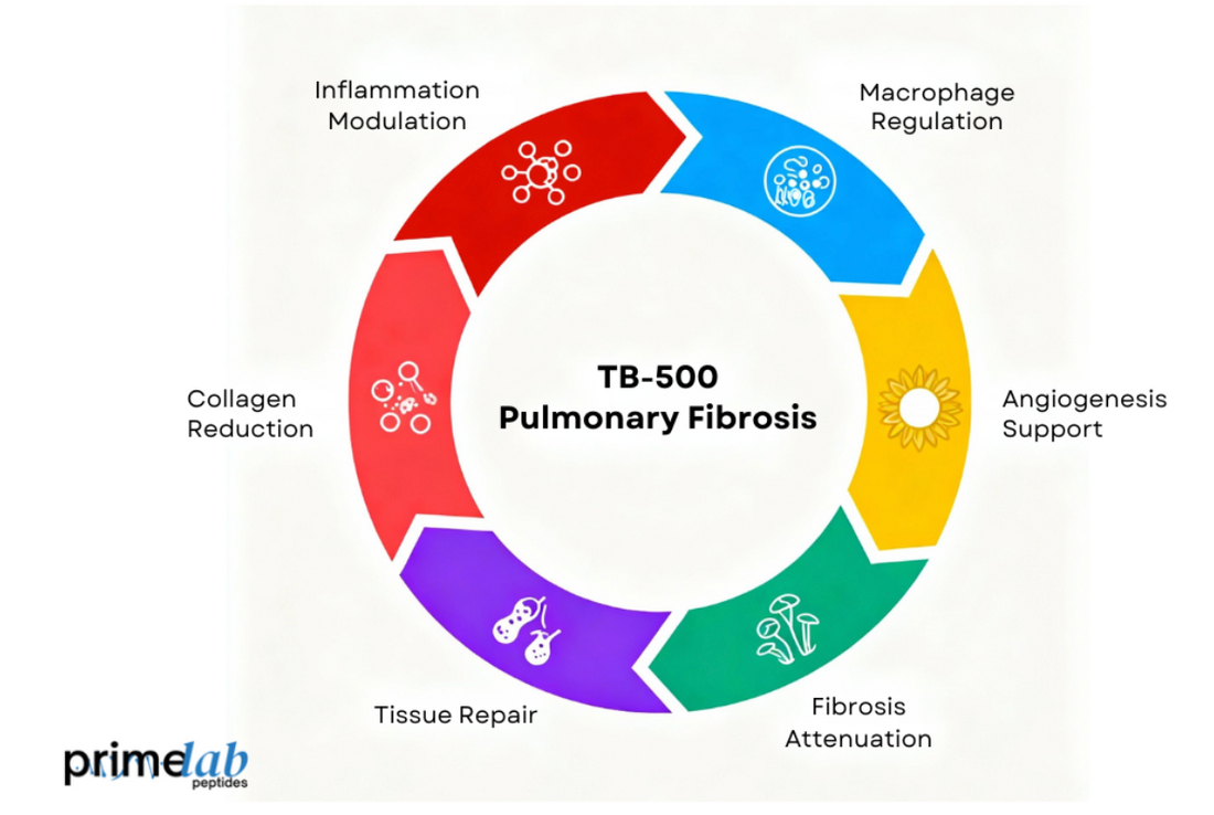 What Evidence Supports TB-500 Use in Pulmonary Fibrosis Research?