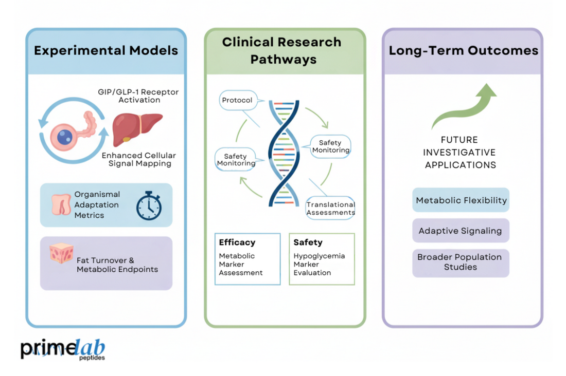 Diagram illustrating incretin therapy research progression, highlighting mechanisms, pathways, and projected applications.
