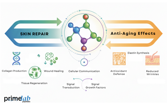 Image showing GHK‑Cu skin biomodulator promoting skin repair, anti‑aging, collagen, and antioxidant defense.