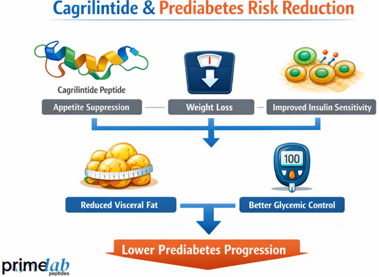 Cagrilintide infographic showing appetite suppression, weight loss, improved insulin sensitivity, and reduced prediabetes risk.