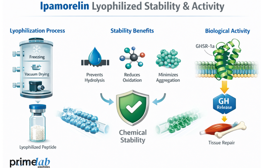 How Does Ipamorelin’s Lyophilized Structure Influence Its Stability And Biological Activity?