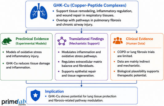 What Does Research Indicate About GHK-Cu’s Protective Effects in COPD or Lung Fibrosis?