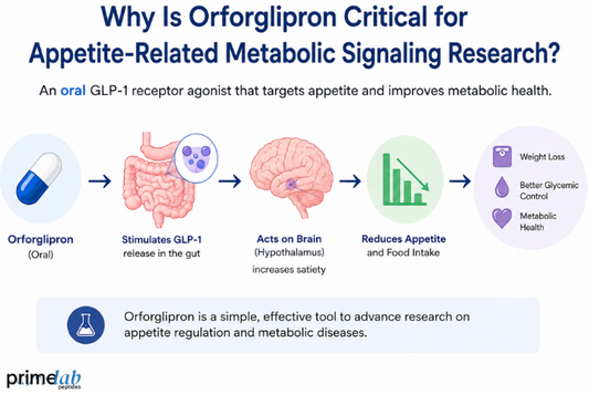 Why Is Orforglipron Critical for Appetite-Related Metabolic Signaling Research?