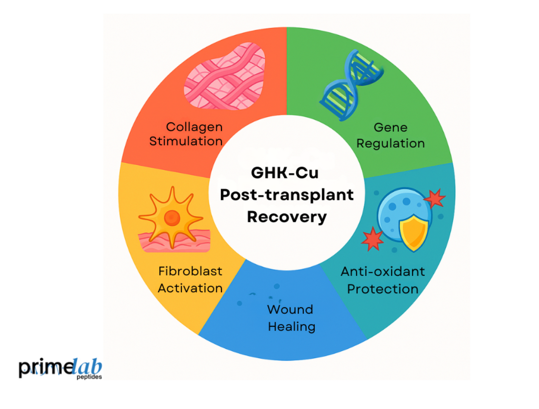 Can GHK-Cu Reduce Complications in Post-Transplant Recovery?