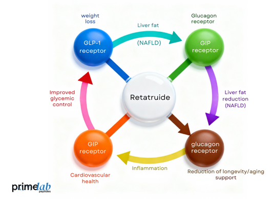 What Are the Broader Scientific Applications of Retatrutide?