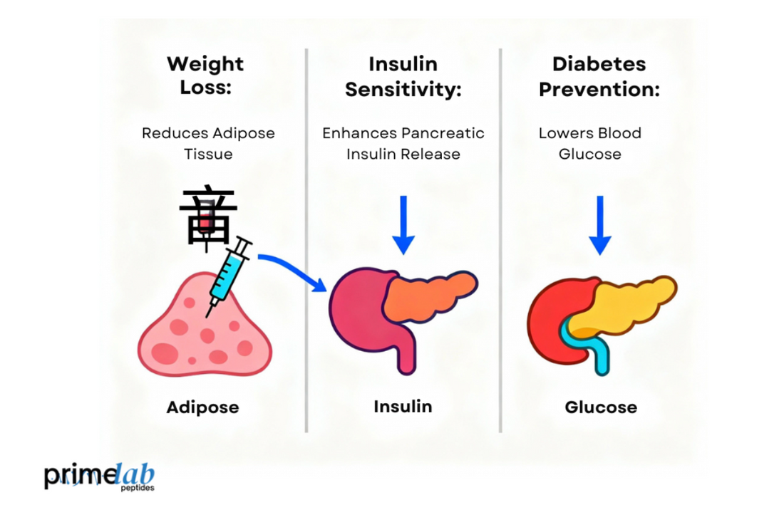 Can Cagrilintide Prevent Diabetes in High-Risk Patients?