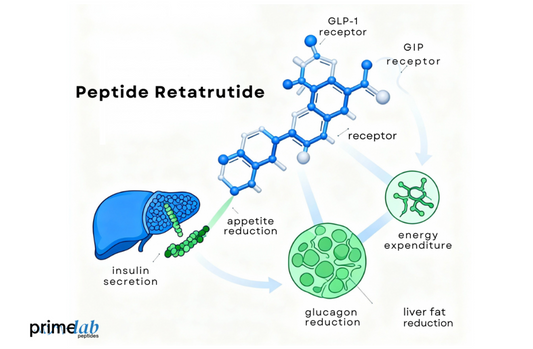Retatrutide’s Molecular Structure and Its Role in Combating Metabolic Disorders
