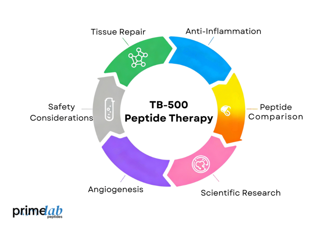 Circular infographic illustrating TB-500 peptide therapy benefits, including tissue repair, anti-inflammation, angiogenesis, and safety.