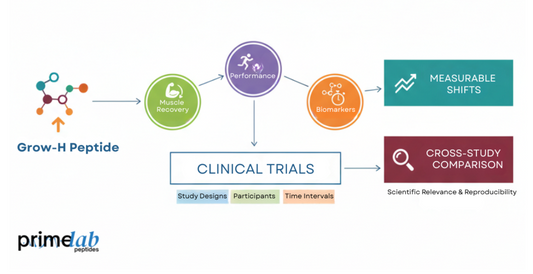 Diagram showing Grow-H peptide effects on muscle recovery, biomarkers, and performance.