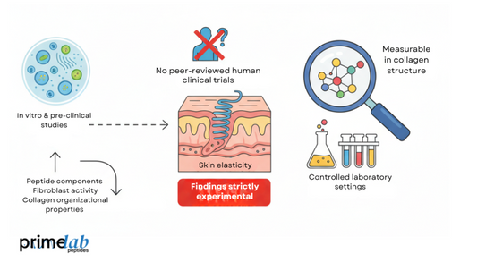 Klow peptide research diagram showing experimental skin elasticity findings from preclinical laboratory studies.