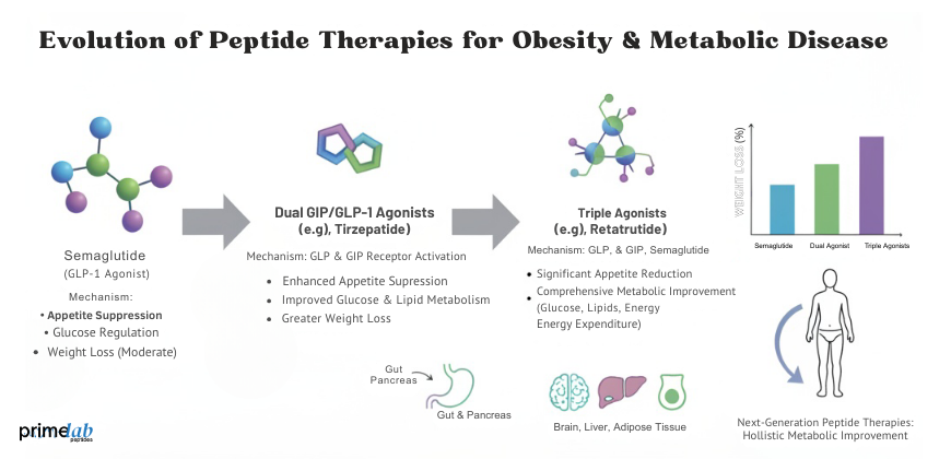 Semaglutide and Beyond: Exploring New Horizons in Peptide Therapy