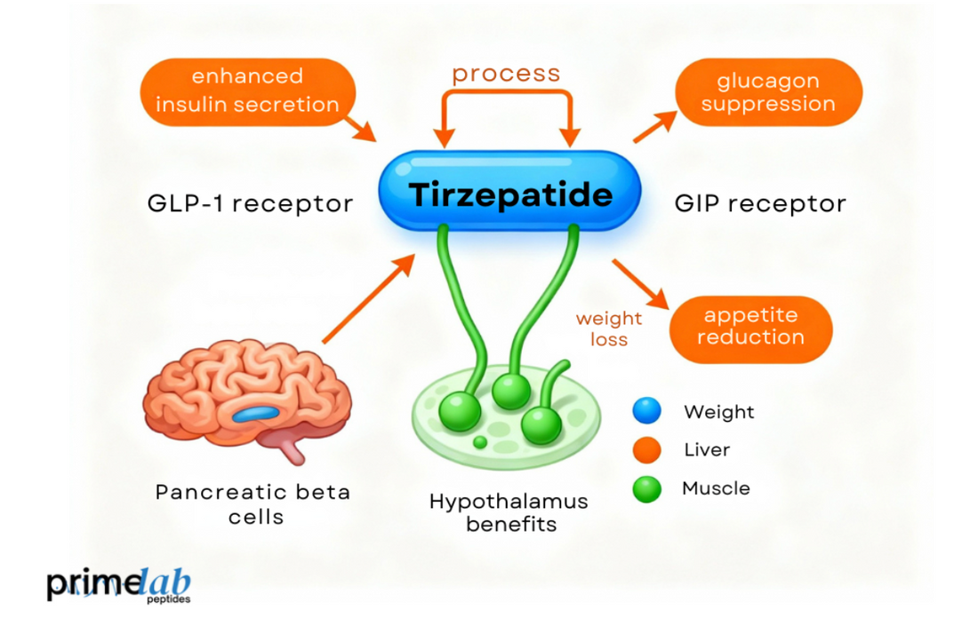 What Do the Latest Clinical Trials Reveal About Tirzepatide?