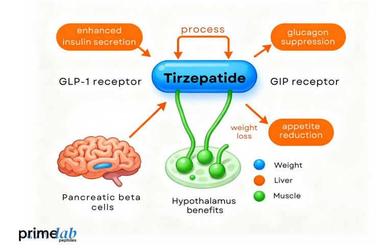 What Do the Latest Clinical Trials Reveal About Tirzepatide?