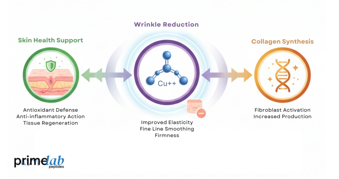 Image illustrating GHK-Cu effects on skin health, wrinkle reduction, and collagen synthesis.