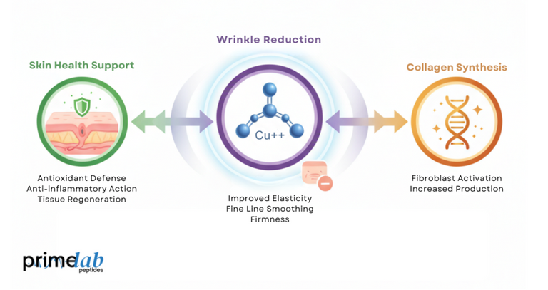 What Does GHK-Cu Do for Skin Health, Wrinkle Reduction, and Collagen Synthesis?