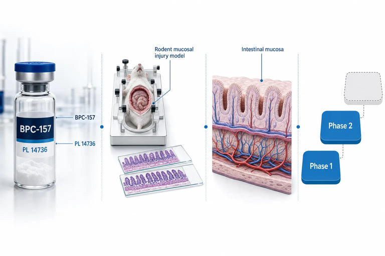 BPC-157 for Ulcerative Colitis: What Trials Show (2026)