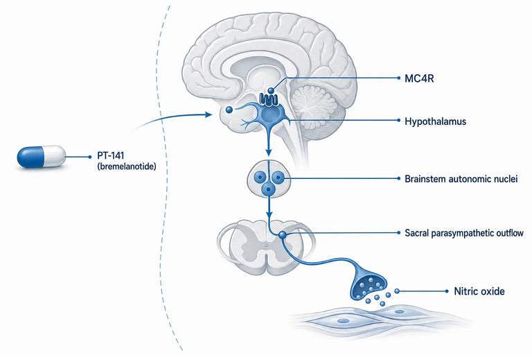 PT-141 and Blood Pressure: What Trials Show (2026)