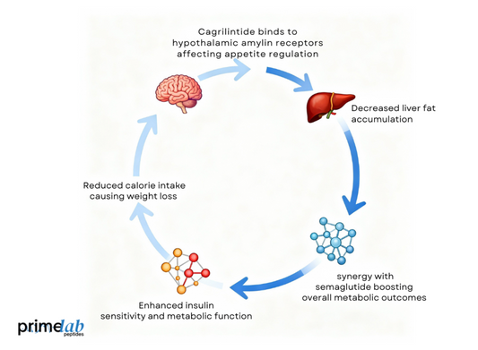How Does Cagrilintide Affect Non-Alcoholic Fatty Liver Disease