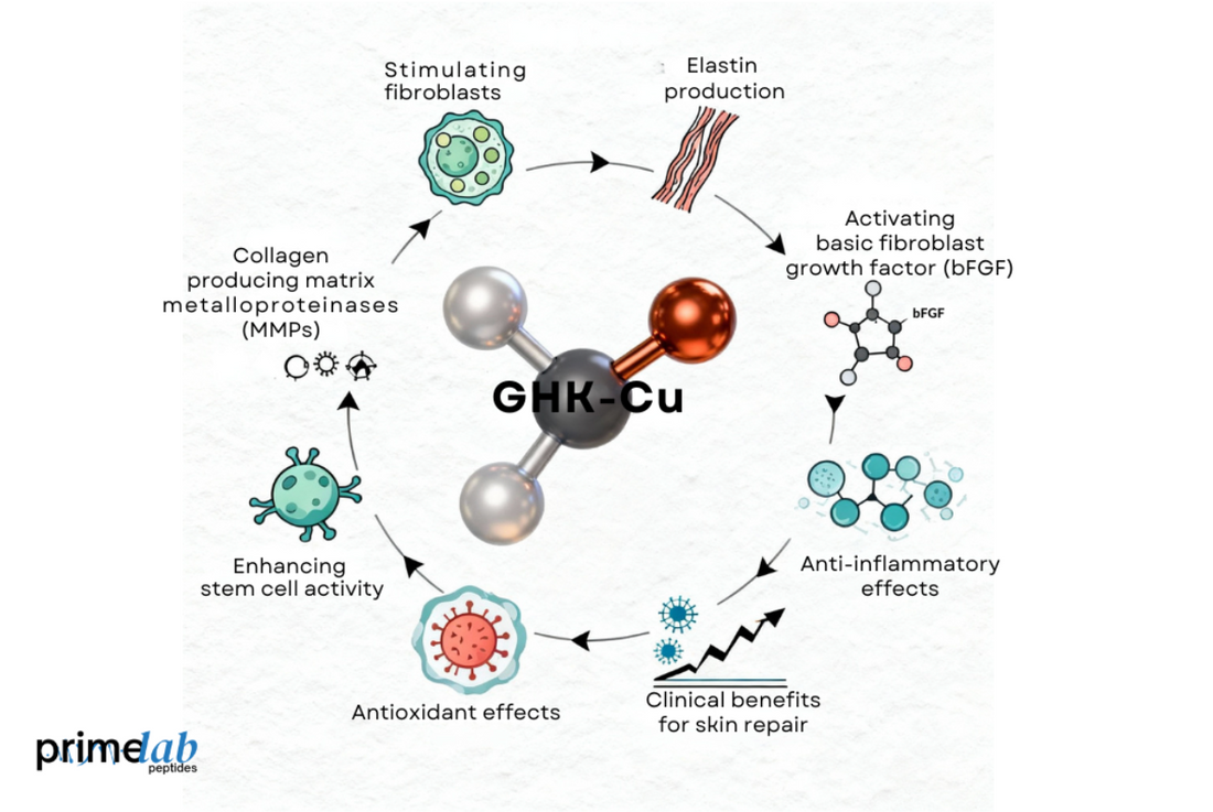 How Does GHK-Cu Influence Skin Regeneration and Wound Healing?