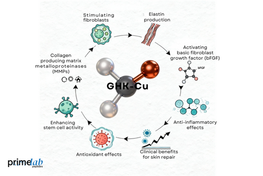 How Does GHK-Cu Influence Skin Regeneration and Wound Healing?