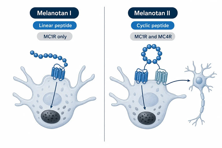 Melanotan 1 vs 2: Tanning, Side Effects (2026)