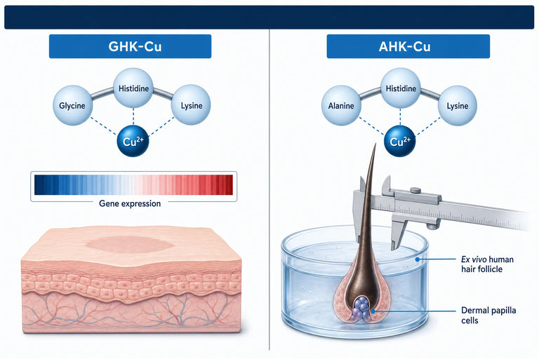 GHK-Cu vs AHK-Cu for Hair: What Was Tested (2026)