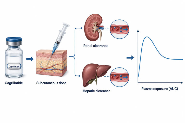 Cagrilintide Kidney Side Effects & Safety (2026)