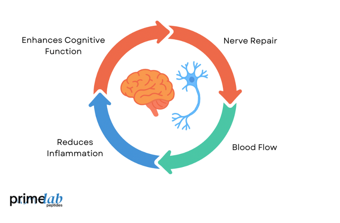 bpc 157 depression Can BPC-157 Actually Help Heal Nerves and Boost Brain Health? – Prime Lab  Peptides