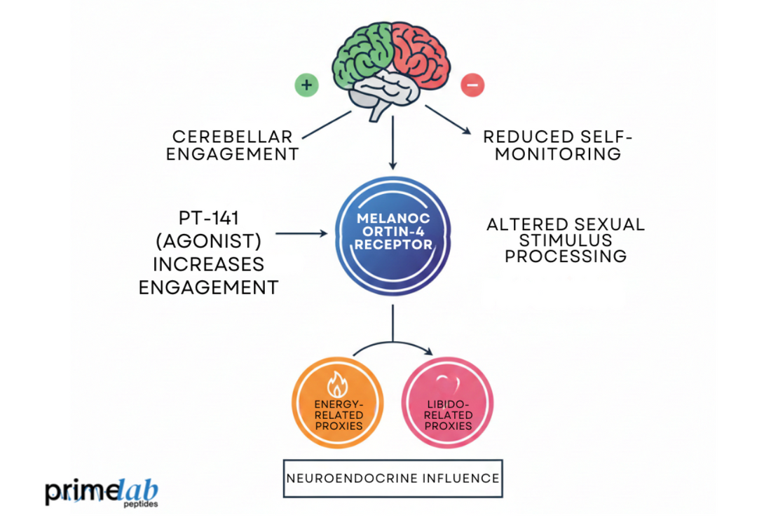 Diagram image shows PT-141 modulating MC4R pathways affecting sexual motivation and energy regulation.