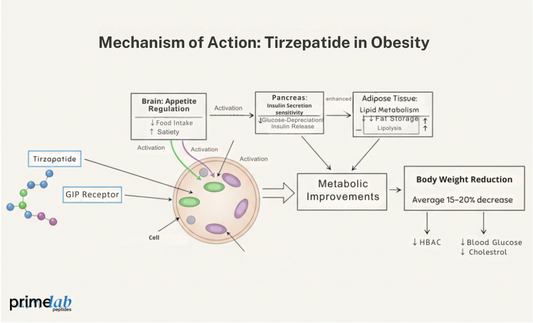 Why Is Tirzepatide Important in Obesity Research