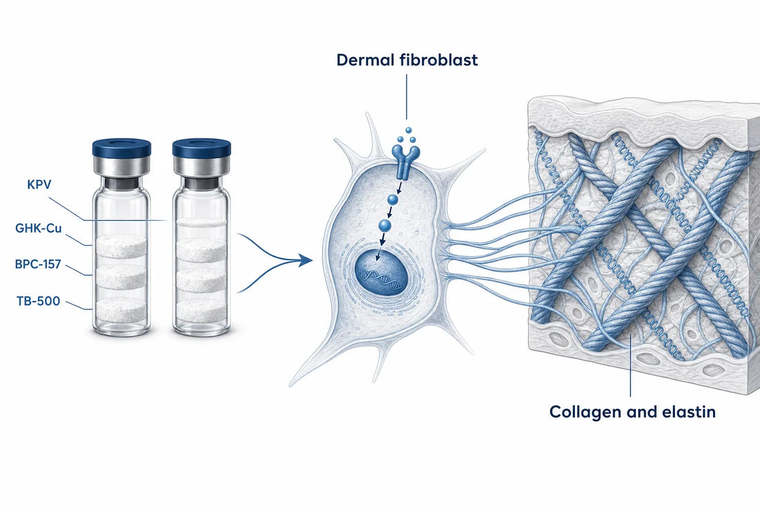 Glow vs Klow Peptide Blend: Key Differences (2026) — diagram: GHK-Cu, BPC-157, TB-500, KPV