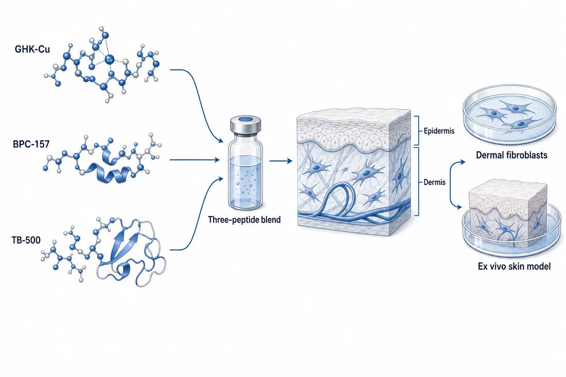 Glow Peptide Side Effects & Safety (2026) — diagram: GHK-Cu, BPC-157, TB-500, Three-peptide blend