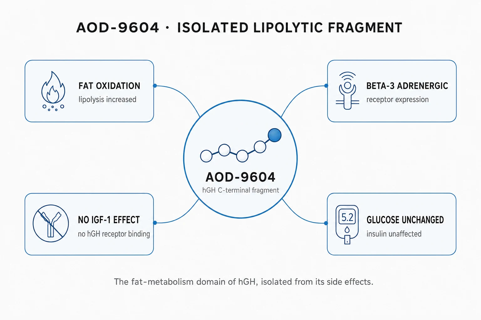 Research mechanism diagram