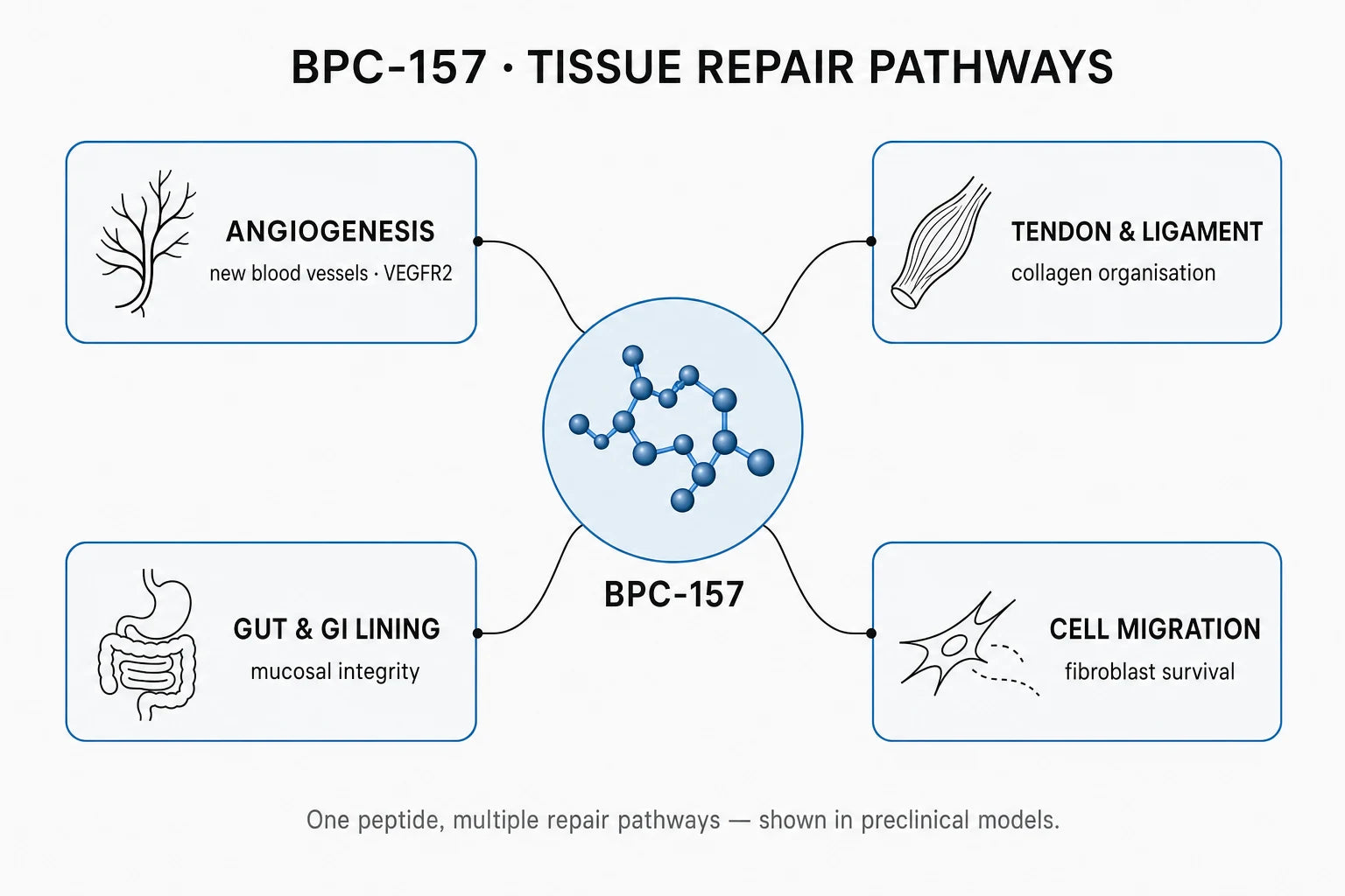 Research mechanism diagram