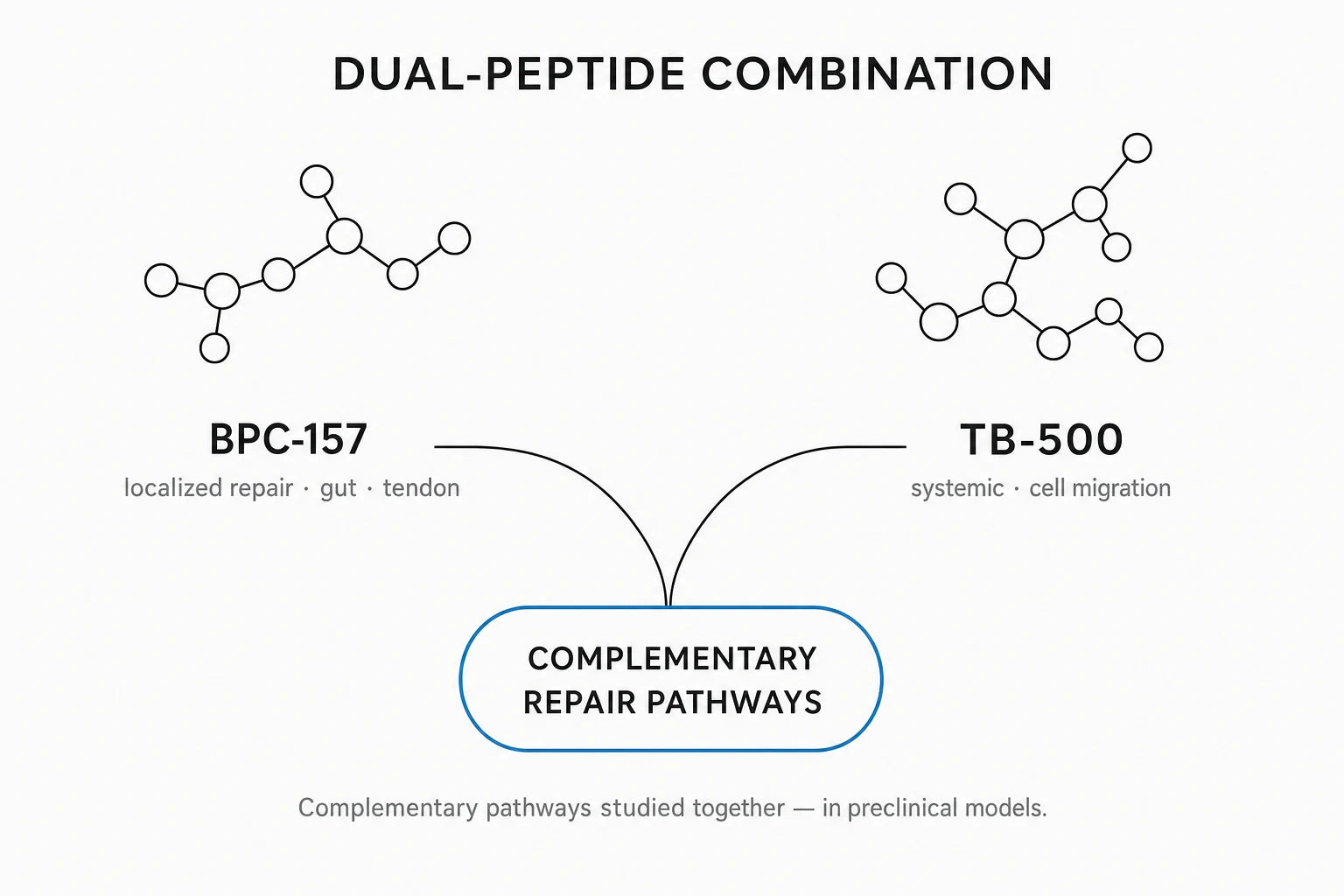Research mechanism diagram